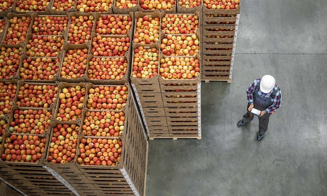 Megafin (3PL) digitalizes one of Colombia’s largest warehouses with Easy WMS
