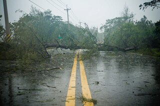 Supply chain disruption: how to mitigate risks